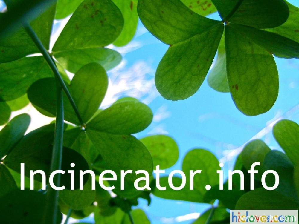 Waste Incinerator, Pet Cremator