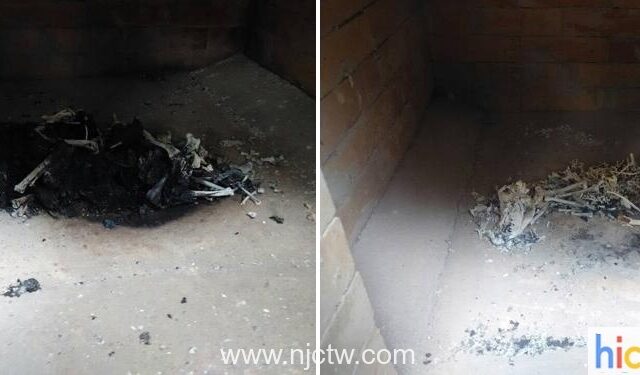 Pet Cremation Picture,dog cremation, pets incinerator”
