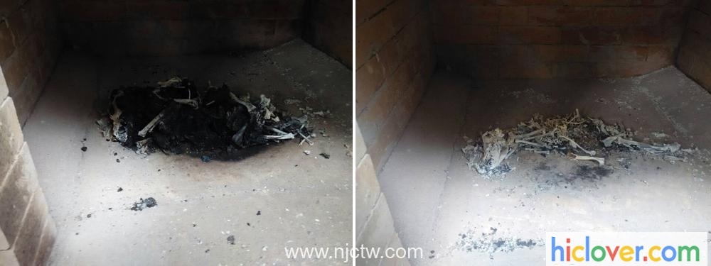 Pet Cremation Picture,dog cremation, pets incinerator”