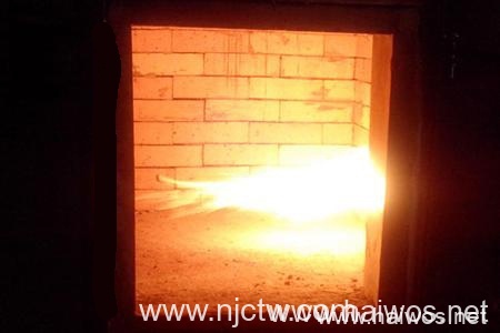 50-100-150-200 Kgs per Hr Solid Waste Incinerator for sale