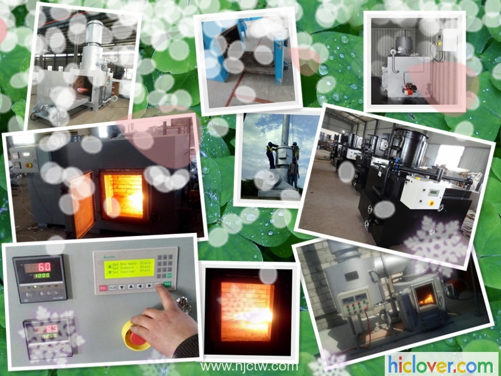 Containerized Mobile Incinerator Version CA50