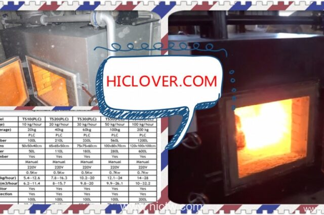 Clinical waste incinerator 100kgs Design TS100