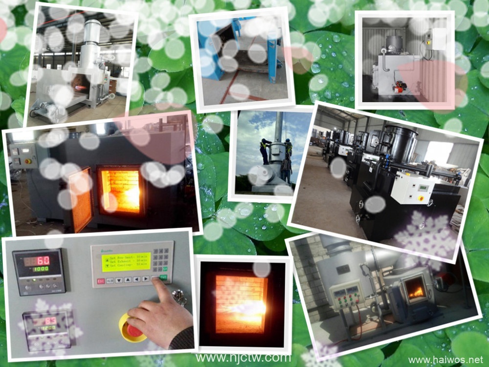 Containerized Mobile Incinerator Model CA50