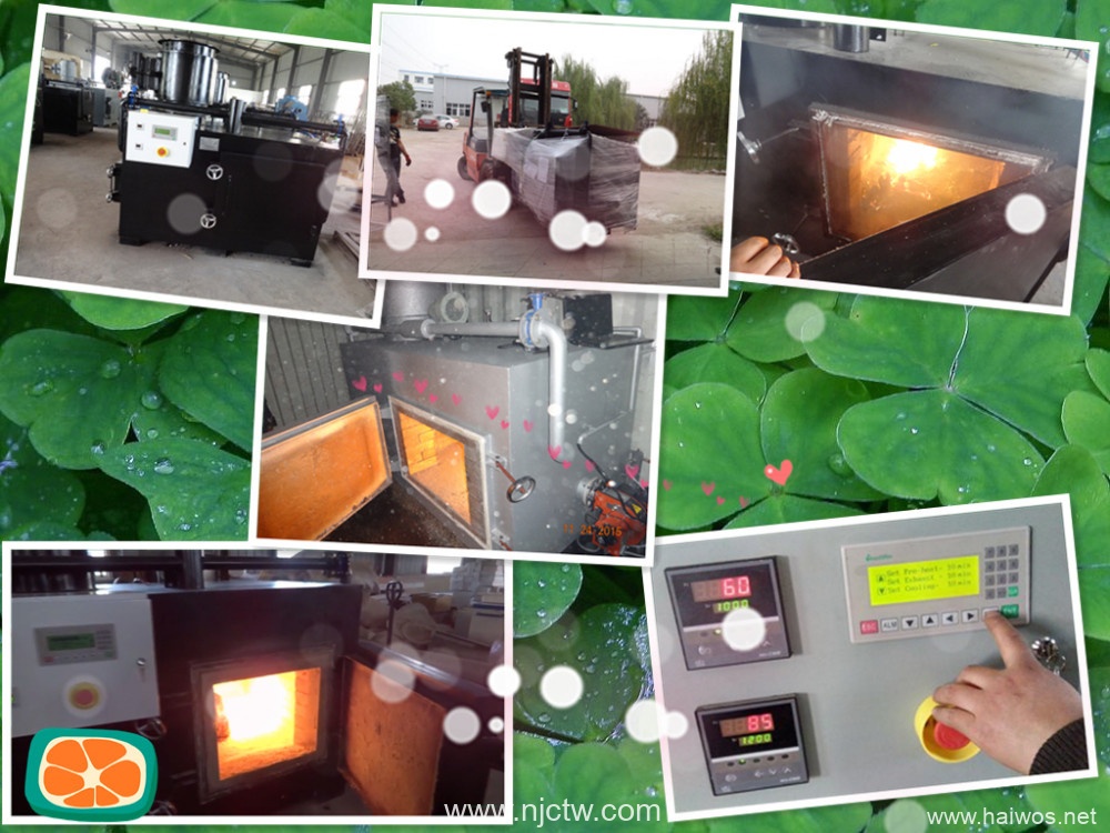 Model TS30 oil terminated waste small incinerator 30kgs