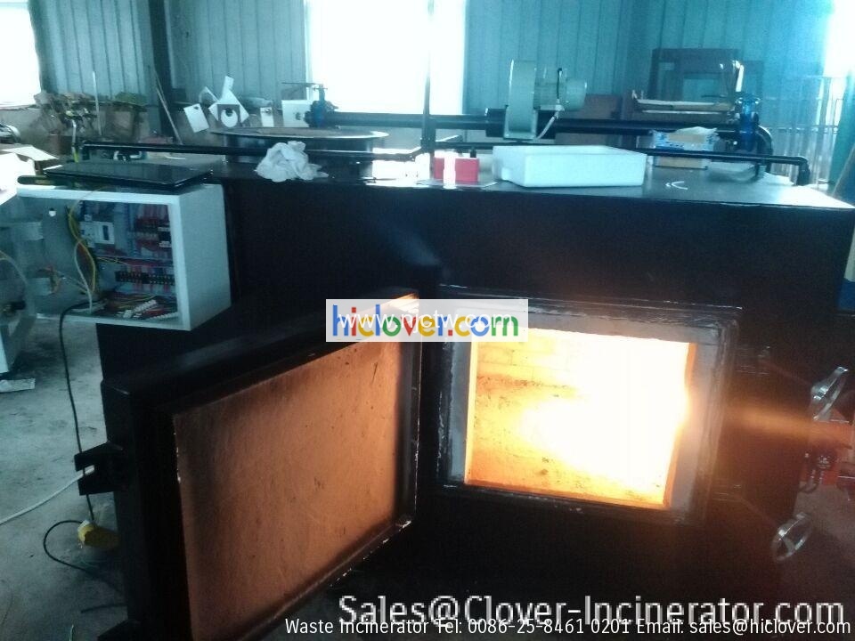 incinerator china
